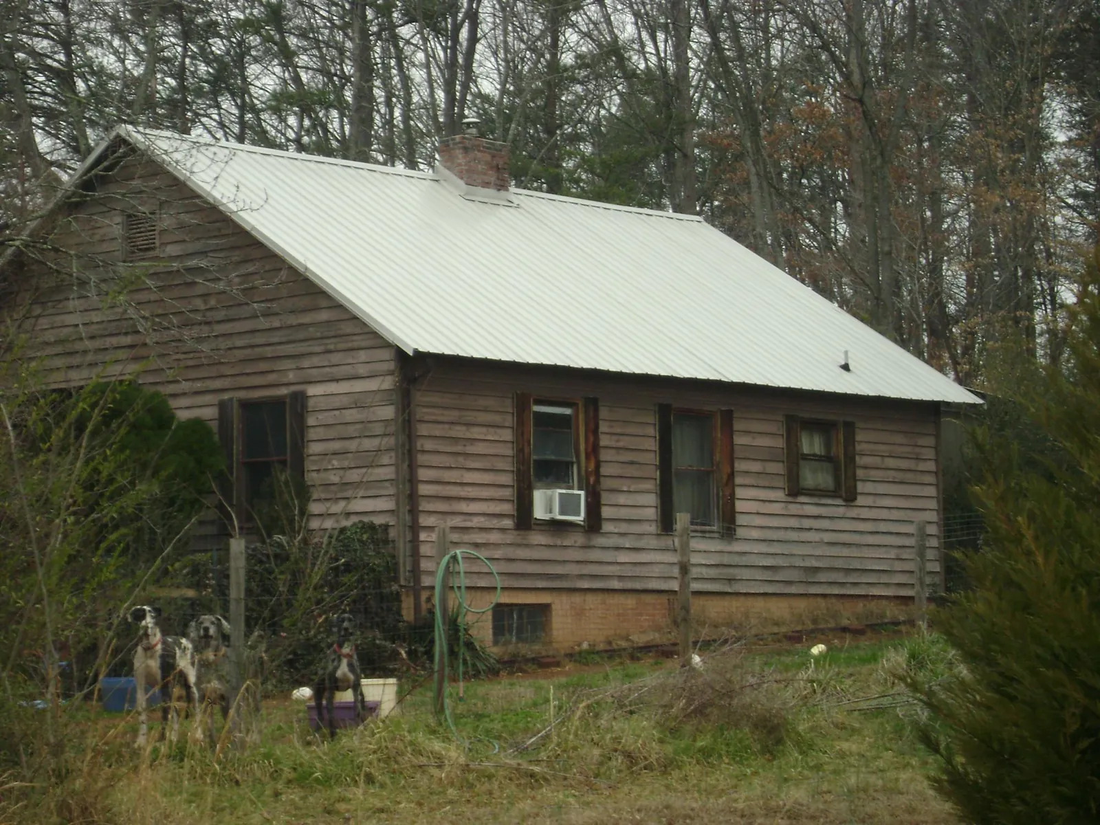 White metal roof on an old wood sided farmhouse, from a Metal Roof Installation job in Lakewood